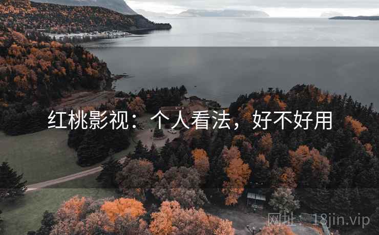 红桃影视：个人看法，好不好用